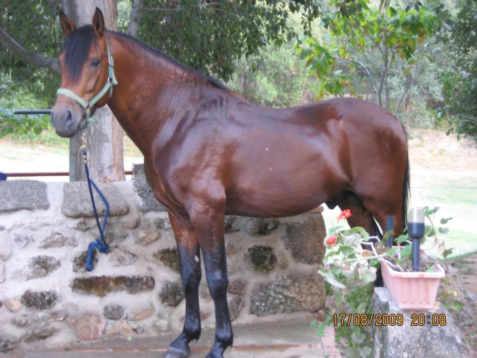 La Caseria Navaconcejo Εξωτερικό φωτογραφία